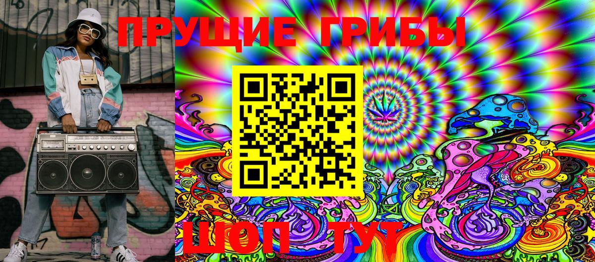 Галлюциногенные грибы Cubensis Усть-Джегута